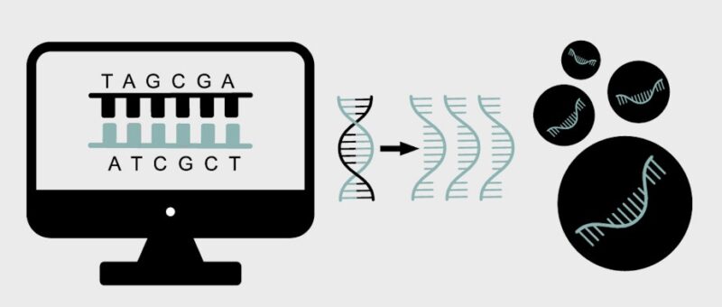 mRNA-vaccine