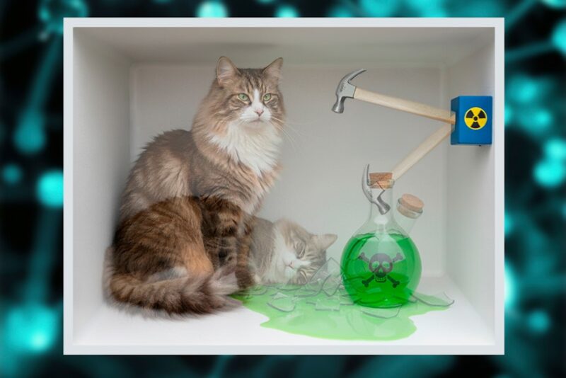 Uforudsigeligt atom gør katten levende og død