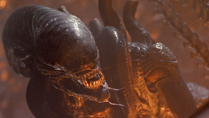 Ridley Scotts ‘Alien’-serie kan meget vel være på vej med en ny sæson