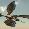 fugl dinosaur flyve skanne røngten