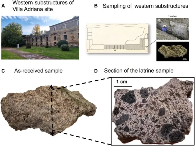 Sammensat billede, der viser de vestlige underbygninger i Villa Adriana, et kort og fotos af et prøveudtagningssted ved en latrin, en stor betonprøve samt et nærbillede af dens tværsnit med en skala på 1 cm.