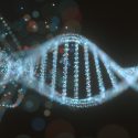 dna genetik dnastreng grammatik udvikler sig synkront