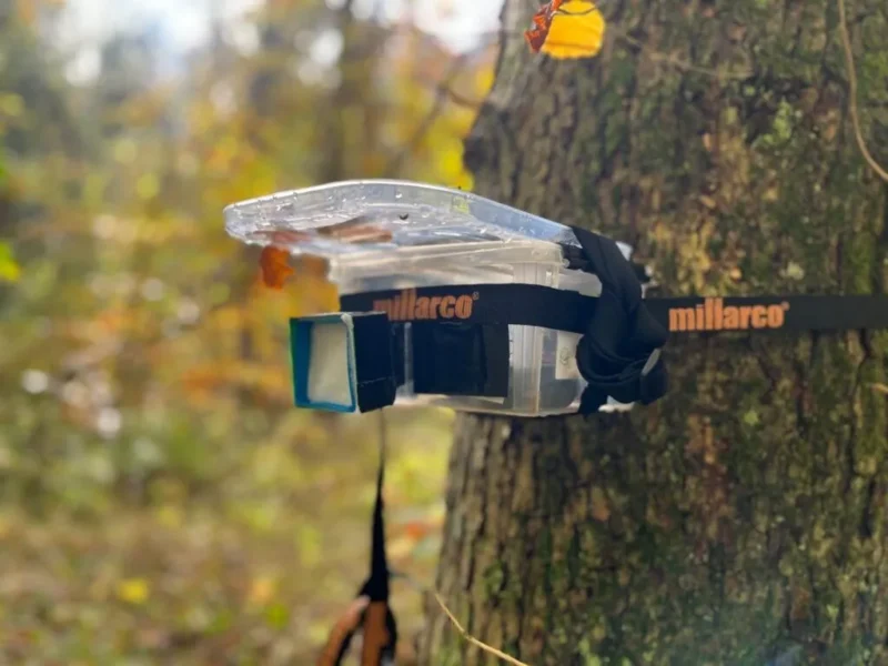 Et hjemmelavet kamerafælde er fastgjort til et træ med en sort Millarco-rem i en skov. Enheden er dækket af en gennemsigtig plastikafskærmning for at beskytte den.