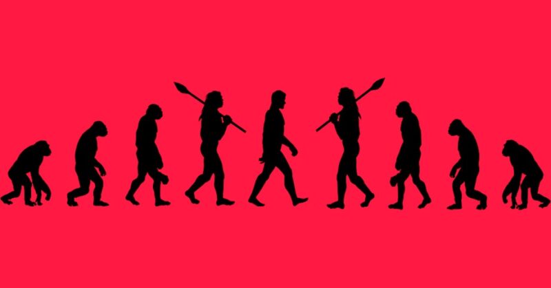 Evolutionen går baglæns