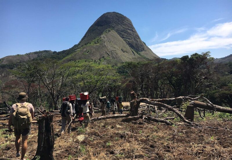 Forskerne og deres hold på vej ind i skovene på Mount Inago i Mozambique.