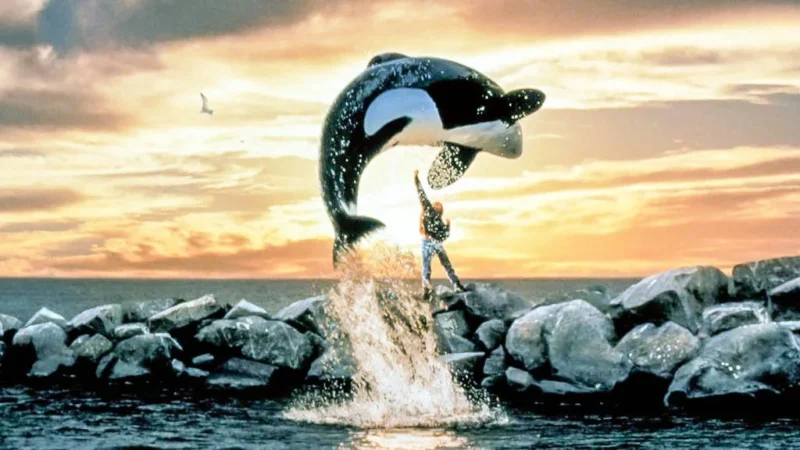 Warner Bros. genopliver ‘Free Willy’ med skaberne af ‘Avengers: Endgame’
