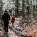 En voksen og et barn går langs en solbeskinnet skovsti omgivet af høje træer og nedfaldne blade. Barnet har en rød frakke og lyserøde bukser på; den voksne har mørkt tøj og en hat på. Begge går væk fra kameraet.