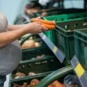 En gravid person i grå skjorte vælger gulerødder fra en grøn kasse i supermarkedets frugt- og grøntafdeling.