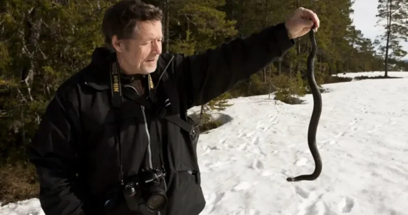 En mand i en sort jakke med et kamera om halsen holder en lang, mørk slange op udendørs på en snedækket jord med træer i baggrunden.