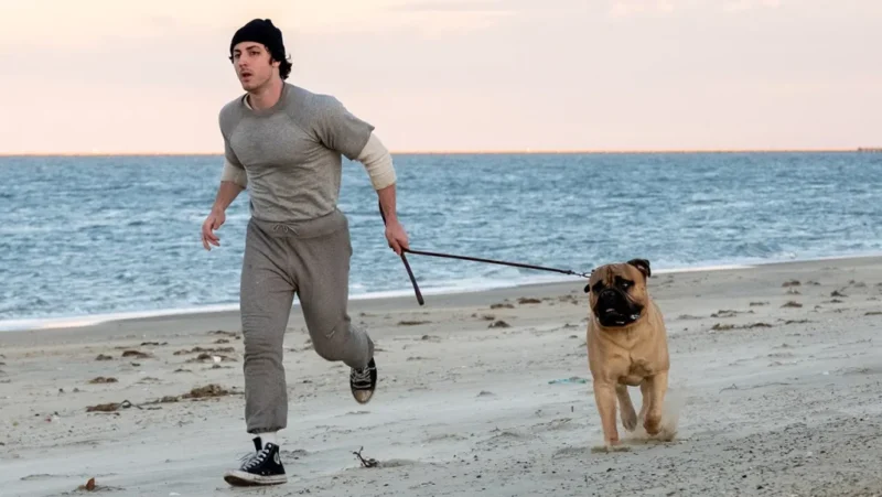 Første trailer til ‘I Play Rocky’ viser skabelsen af verdens bedste sportsfilm