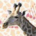 En giraf med en mønstret baggrund, der ligner girafpletter og overlejret rød DNA-helix-grafik, hvilket antyder et tema om genetik og dyrebiologi.