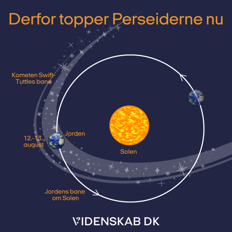 Diagram, der viser Jordens og kometen Swift-Tuttles baner omkring Solen, hvor Jorden befinder sig i skæringspunktet den 12.-13. august, hvilket illustrerer, hvorfor Perseid-meteorregnen når sit højdepunkt netop nu. Tekst og stjerner pryder illustrationen.
