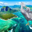 Dronter kæmpeskildpadder øgler uddød udryddelse arter Mauritius knogler planterrester frø sump miljø storflagermus udgravning lokation ø