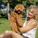 En smilende kvinde med krøllet blondt hår sidder på græsset i en park og holder en glad, krøllet brun hund op. Træer og sollys er i baggrunden.