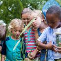 Læring undervisning elever skoleledere forets schools tilgang naturen problemløsning håndtering af risikofyldte situationer resiliens uafhængighed