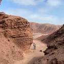 Forskere har ledt efter tegn på liv i et område af Atacama-ørkenen i Chile
