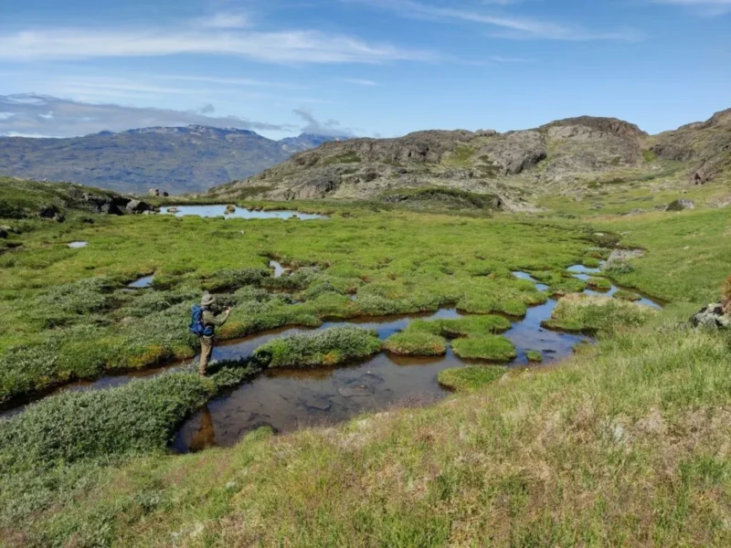 En person med en rygsæk står ved små bække og grønne områder i et græsklædt, stenet landskab med bakker og fjerne bjerge under en blå himmel.