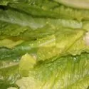 Vasket salat set tæt på.