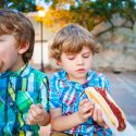 mad fødevarer ultraforbehandlet bearbejdet fast food sundhed effekt tarm mikrobiota tarmflora metabolisk ernæringsvidenskab fedme overvægt økosystem maltodextrin modificeret stivelse næringsstoffer tilsætningsstoffer næring kalorier hydrolyseret protein