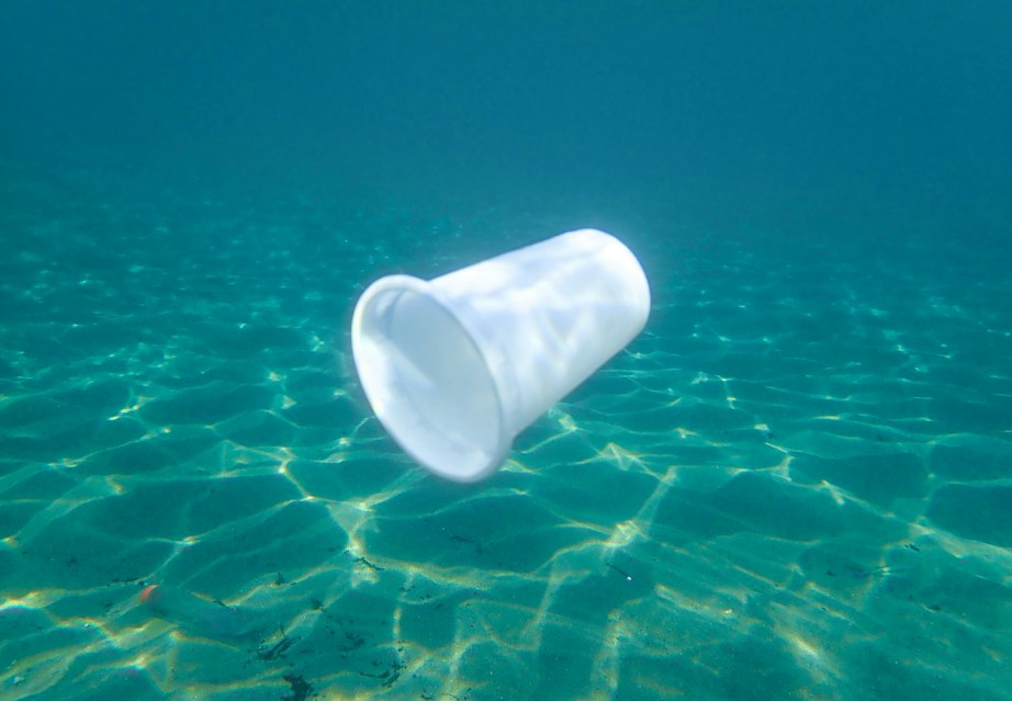 Plastik i havet ender overraskende.. – ONN.dk
